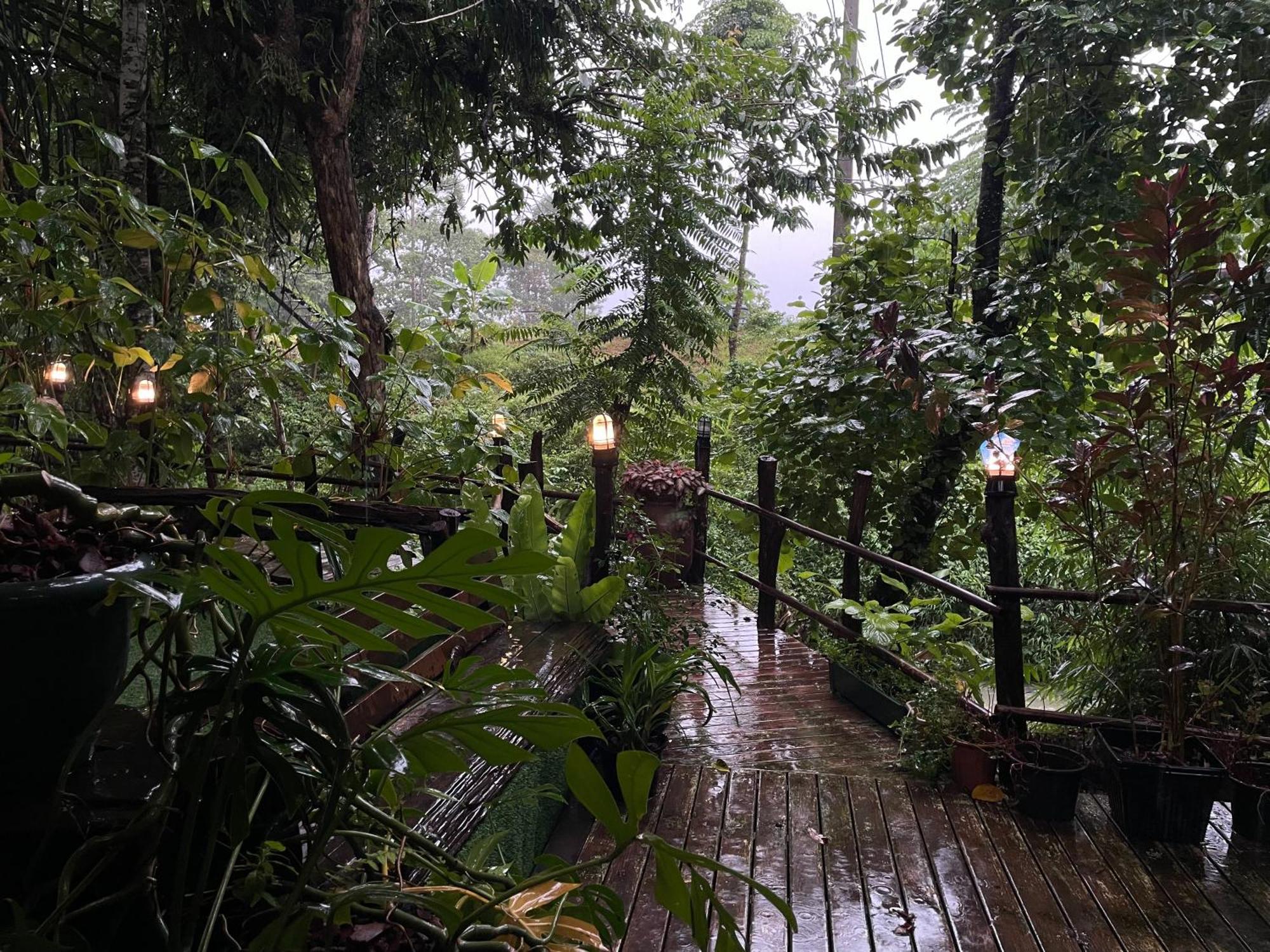 Khaosok Farmstay Khao Sok National Park Екстер'єр фото